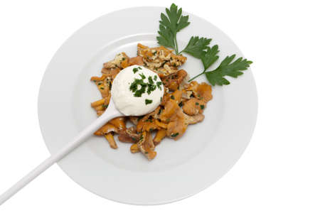 Mushroom food with chanterellesの写真素材