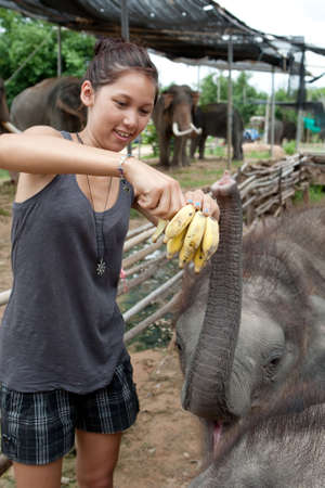 girl is feeding baby elephantの写真素材