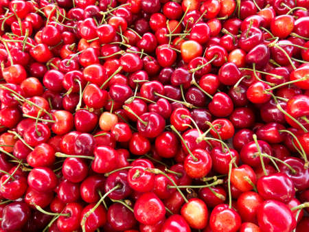 cherryの写真素材