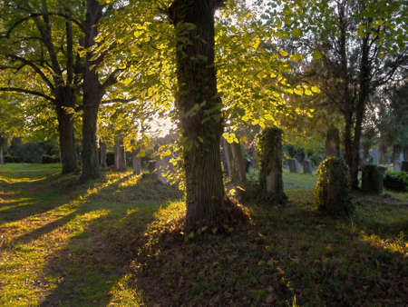 Jewish Cemeteryの写真素材