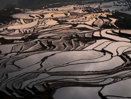 Rice terraces Yuanyang, Chinaの写真素材