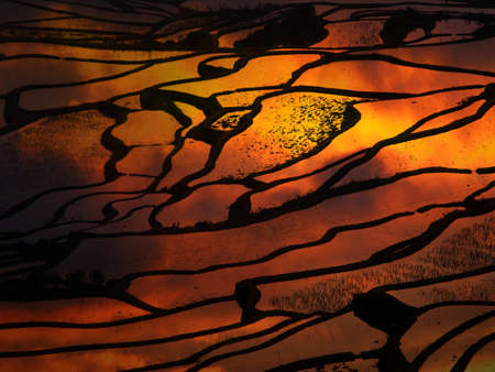 Sunset at terraced rice fields, Chinaの写真素材