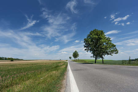 country road