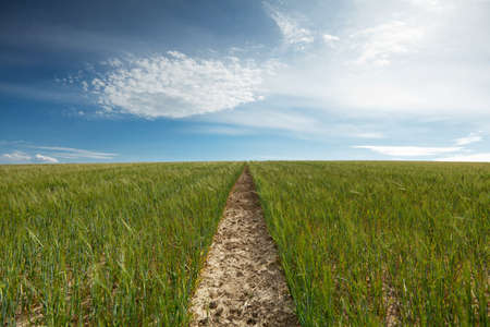 footpath to horizon