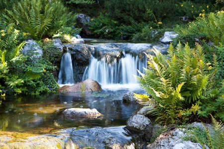 japanese garden with waterfall