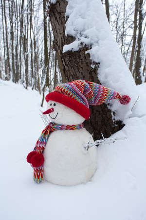 Snowman in winter landscapeの写真素材
