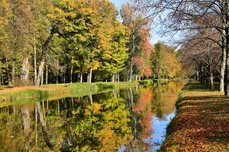 Colors of autumnの写真素材