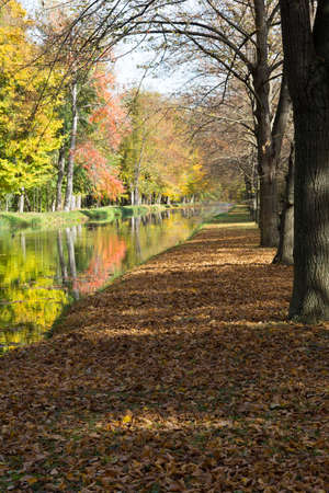 Park in autumnの写真素材