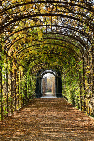 Pavilionの写真素材