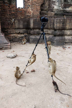 Photograph funny pictureの写真素材