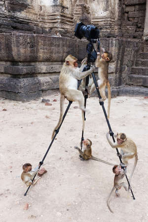 Photograph funny pictureの写真素材