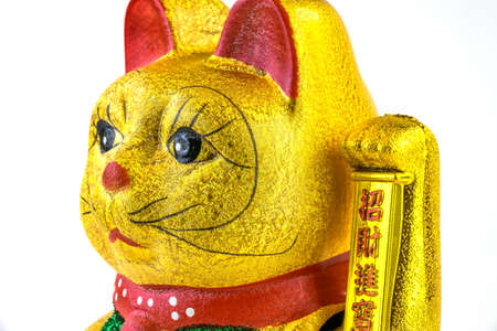 Welcoming Catの写真素材