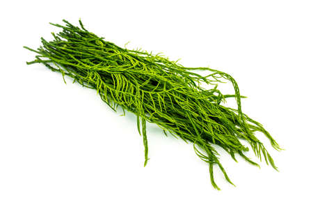 Cha Om Leaves