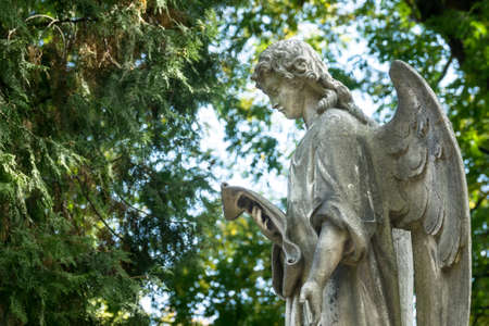 Grave Angelの写真素材