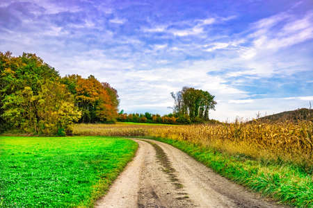 Colorful Autumn Landscapeの写真素材