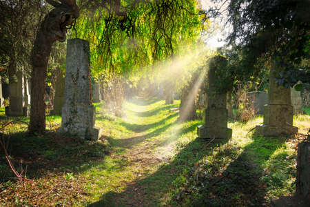 Jewish cemetery with sunbeamsの写真素材