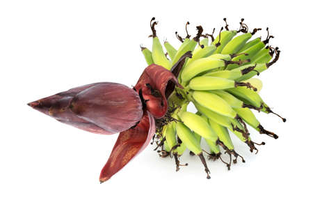 Banana On Bunch Isolatedの写真素材