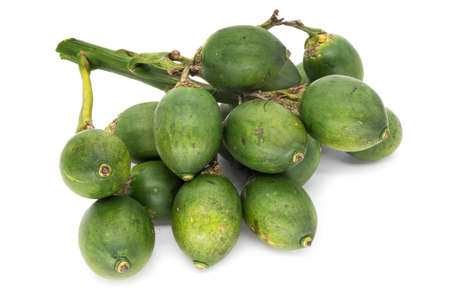 Areca Nut Isolatedの写真素材