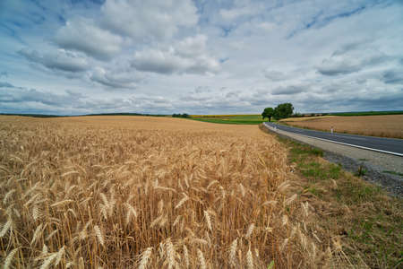 Landscape With Country Road