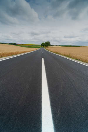 Landscape With Country Road
