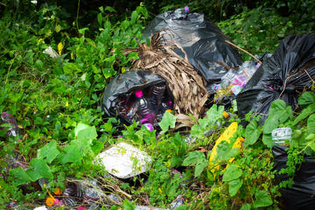 discarded plastic in forest is natural disaster