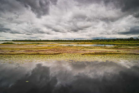 Landscape with standing water and cumulus clouds