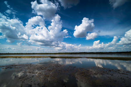 Reflection Lake With Cumulus Clouds