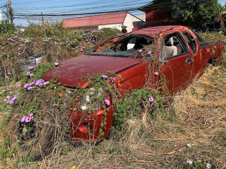 Car Wreck Environmental Disaster