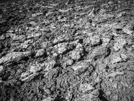 Clod Of Earthの写真素材