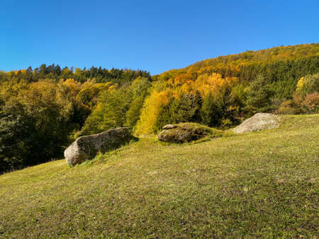 Landscape Autumn