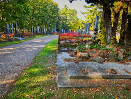Zentralfriedhof, Vienna, Austria - October 15, 2019: The Zentralfriedhof is the largest cemetery of Vienna und a nice place to walk around, especially in autumnのeditorial素材