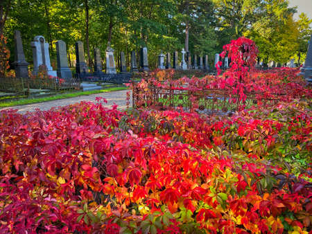 Zentralfriedhof, Vienna, Austria - October 15, 2019: The Zentralfriedhof is the largest cemetery of...