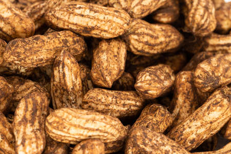 Freshly picked peanuts, close up of tropical fruit