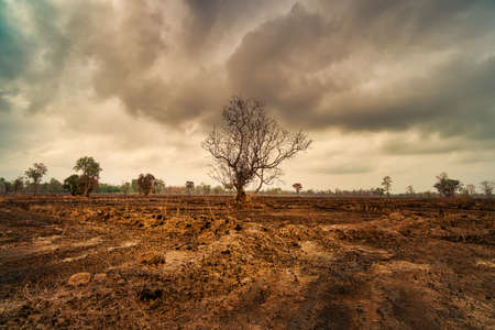 Landscape After Slash and Burn, dry field with dramatic clouds
