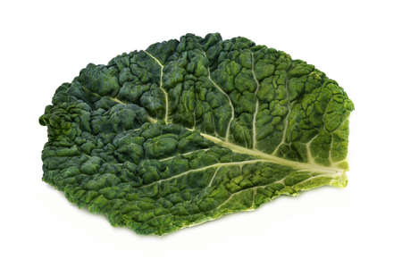 Cabbage Leaf Close Up, fresh vegetable on white backgroundの写真素材
