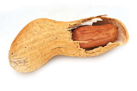 Peanut Close Up, nut isolated on white background