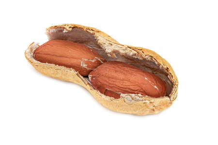 Peanut Close Up, nut isolated on white background