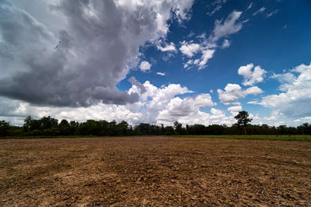 Agriculture Field With Clouds, landscape with cumulus clouds
