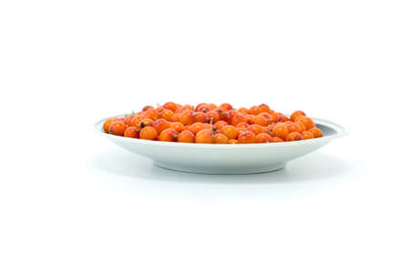 Porcelain saucer filled with sea buckthorn berries isolated on the white backgroundの写真素材