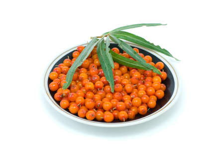 Saucer filled with sea-buckthorn berries and some leaves isolated on the white backgroundの写真素材