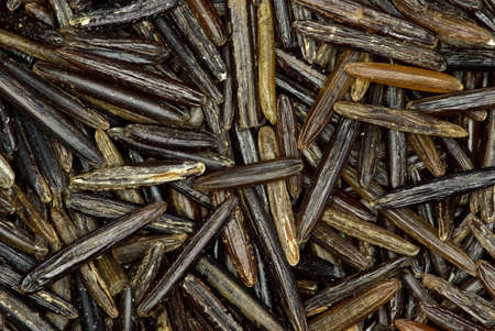 Abstract background: Black wild rice grains (macro)
