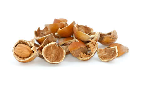 Small pile of hazelnuts shells and one cracked isolated on the white backgroundの写真素材