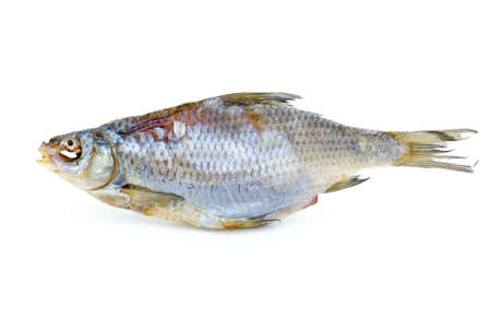 Dried sea roach fish isolated on the white backgroundの写真素材