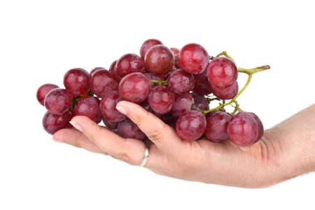 Bunch of pink grapes in palm isolated on the white backgroundの写真素材