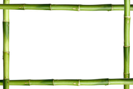 Green bamboo stick frame isolated on the white backgroundの写真素材