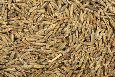 Abstract background  Spices  zeera seeds