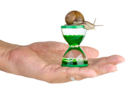 Time concept  Snail and gel hourglass on the palm  Isolated on the white background