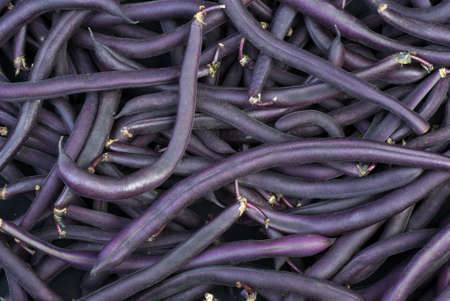 Purple Wax Snap Beans background
