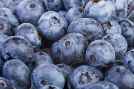 Abstract background  blue bilberries  Focus point at the centre of image