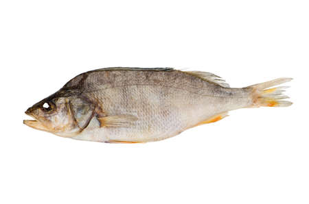 Naturally dried perch fish isolated on white backgroundの写真素材